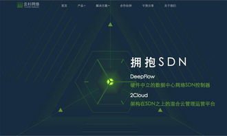 云杉網(wǎng)絡(luò)完成1100萬美元B輪融資，引領(lǐng)國內(nèi)SDN技術(shù)服務(wù)新浪潮