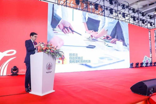 全球矚目！18個國家和地區攜手，近80個政府代表團共赴盛會，1300余家企業共襄盛舉